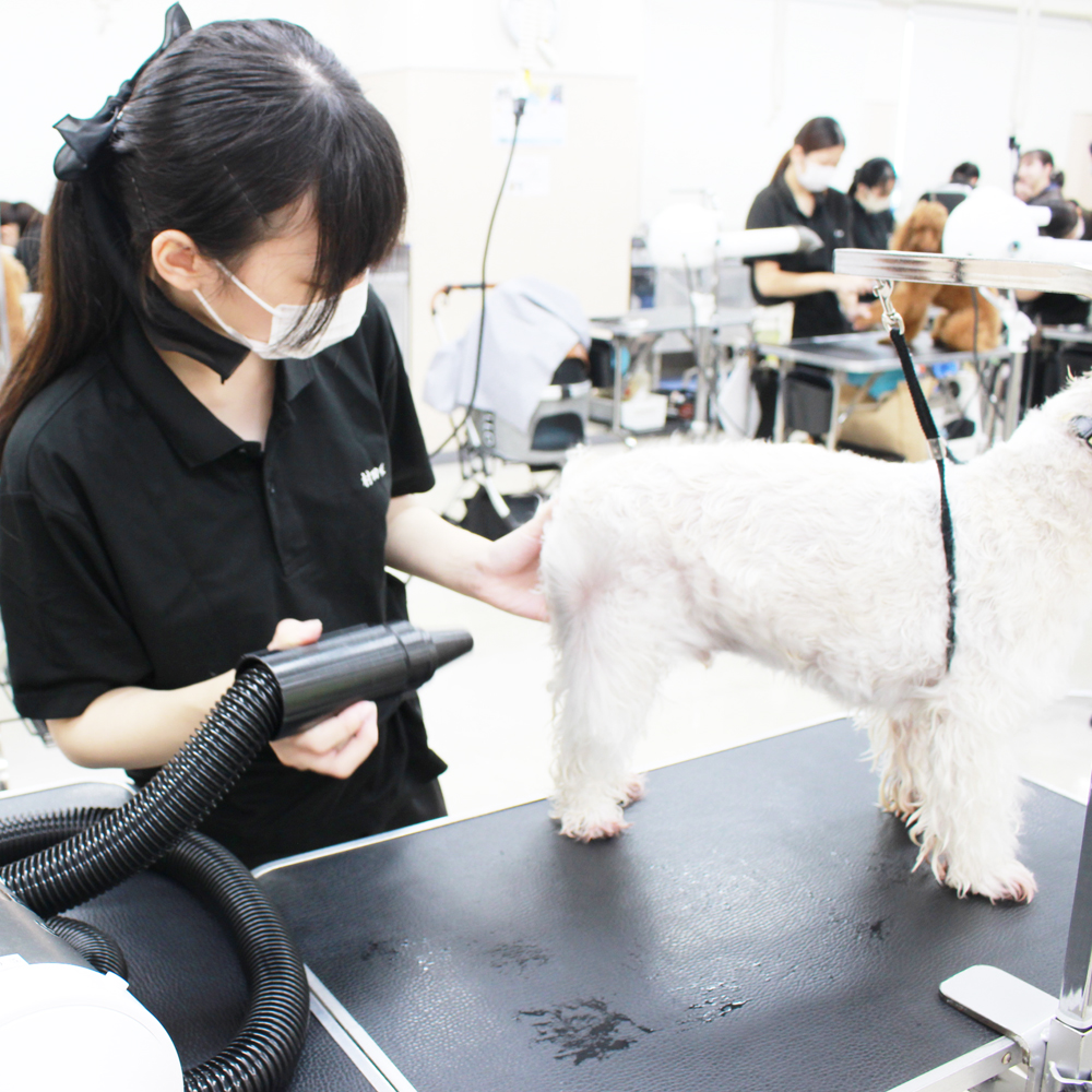 新学期もがんばりましょう♪